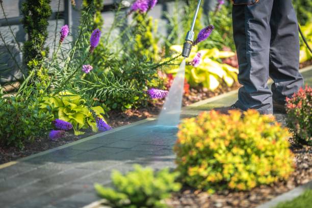 Best Sidewalk and Walkway Pressure Cleaning in Sparta, GA